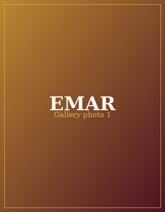 EMAR Silks gallery photo 1