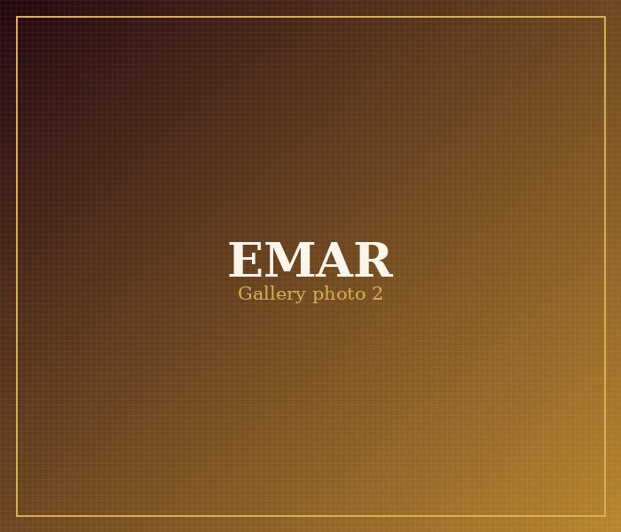 EMAR Silks gallery photo 2