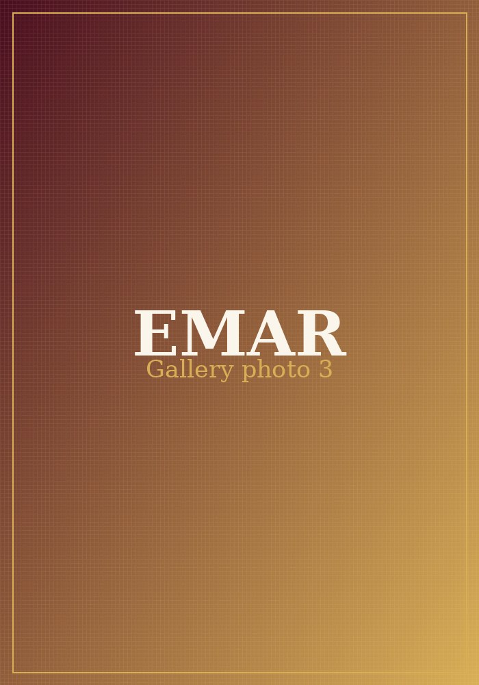 EMAR Silks gallery photo 3