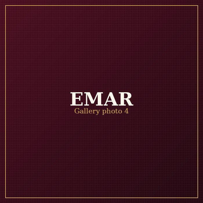 EMAR Silks gallery photo 4