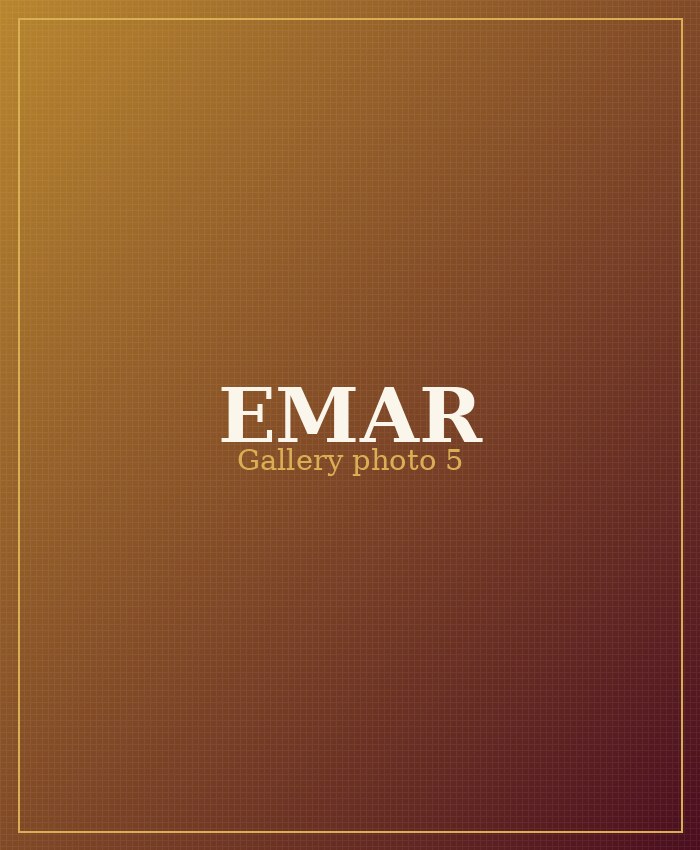 EMAR Silks gallery photo 5