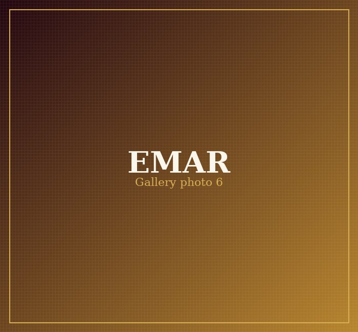 EMAR Silks gallery photo 6