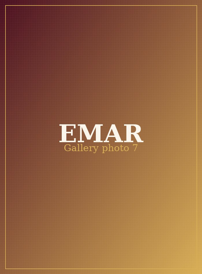 EMAR Silks gallery photo 7