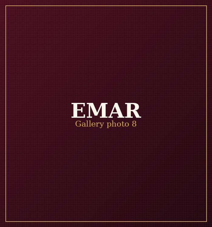 EMAR Silks gallery photo 8
